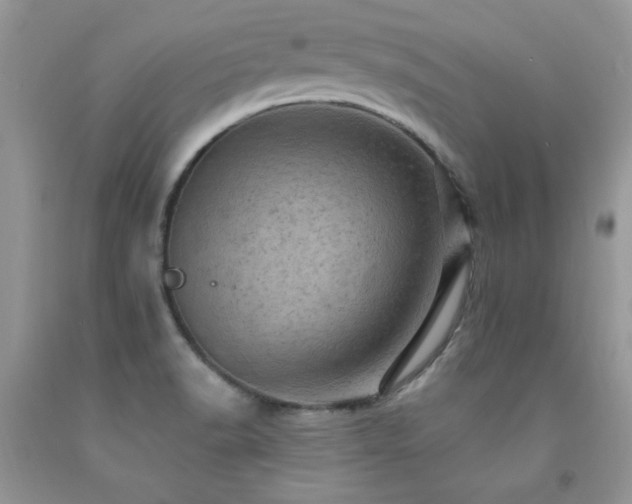 X0000092301518200709141309