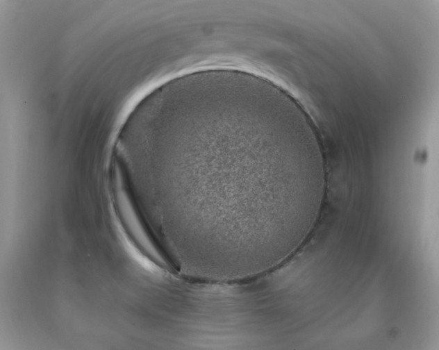 X0000092301519200709141309