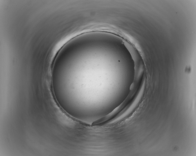 X0000092301520200709141309