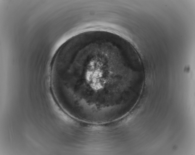 X0000092301522200709141309