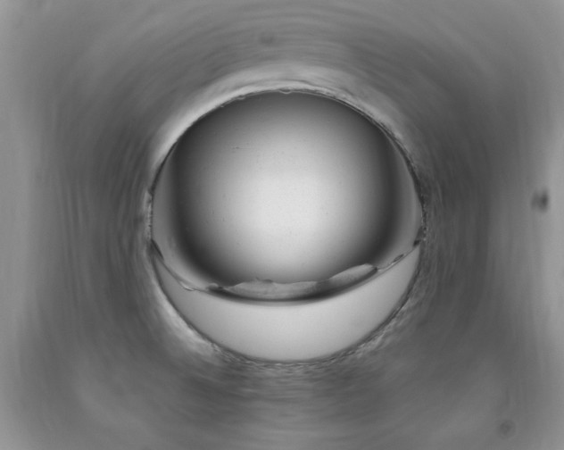 X0000092301524200709141309