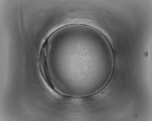 X0000092301525200709141309