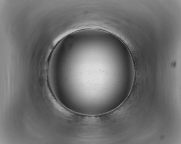 X0000092301526200709141309