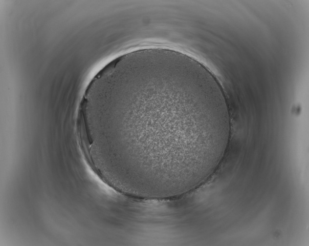 X0000092301527200709141309