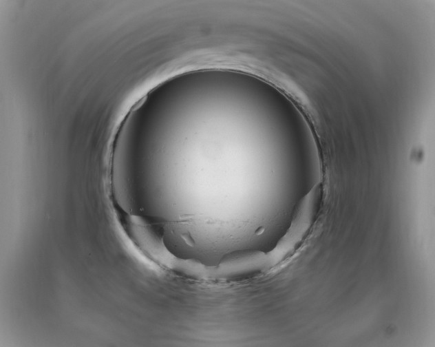 X0000092301528200709141309