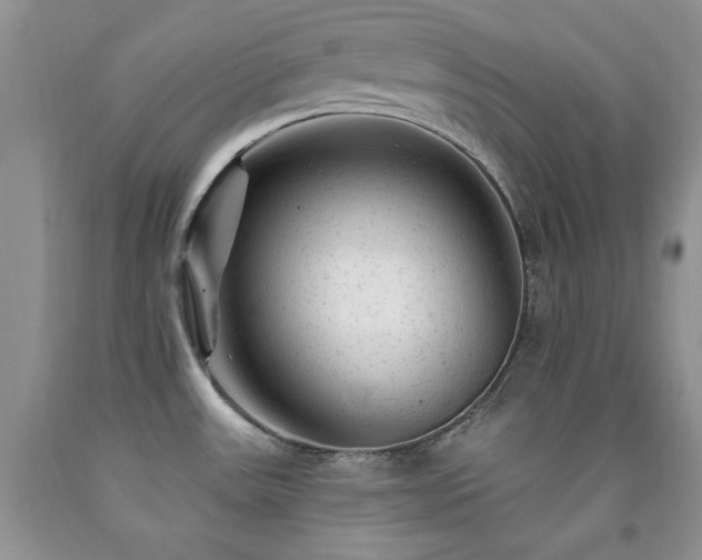 X0000092301531200709141309