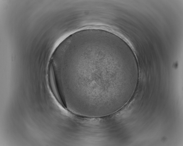X0000092301533200709141310