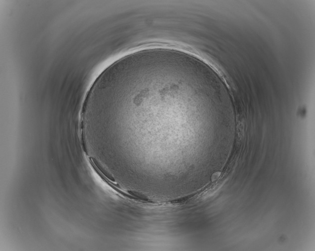 X0000092301535200709141310