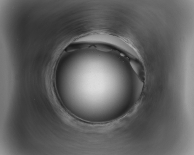X0000092300001200709211239