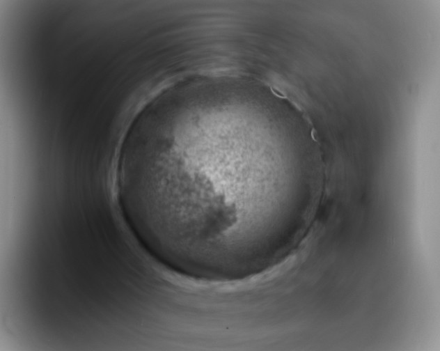 X0000092300002200709211239