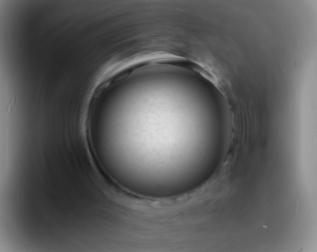 X0000092300003200709211239