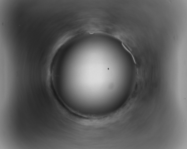 X0000092300005200709211239