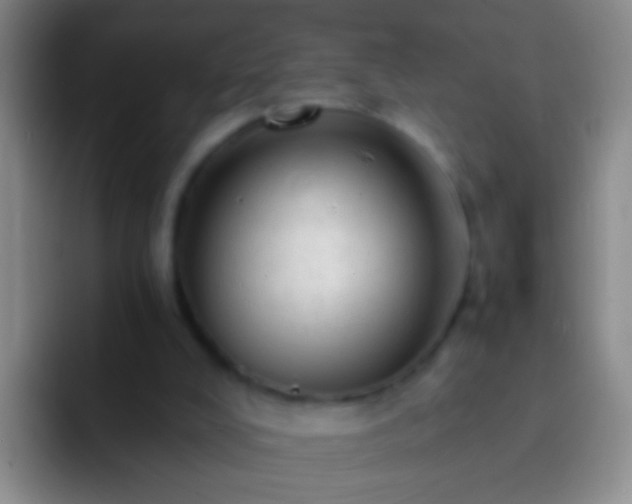 X0000092300008200709211239