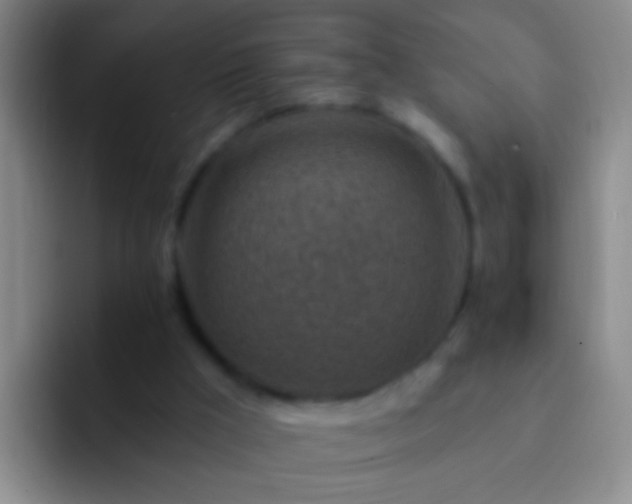 X0000092300009200709211239