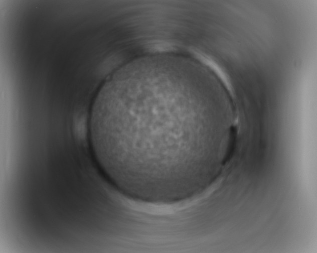 X0000092300010200709211239