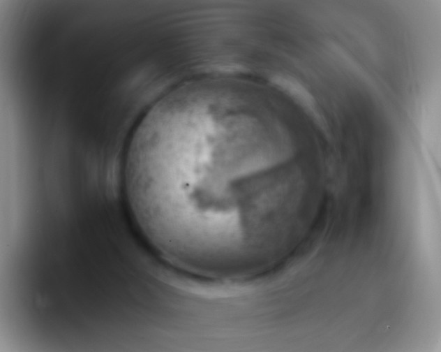 X0000092300012200709211239
