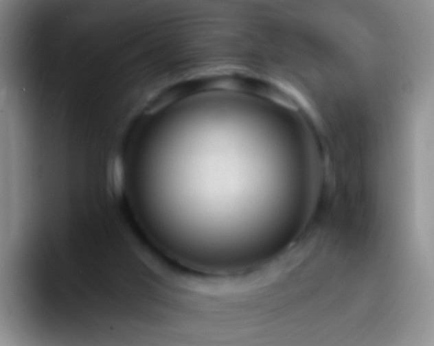 X0000092300013200709211239