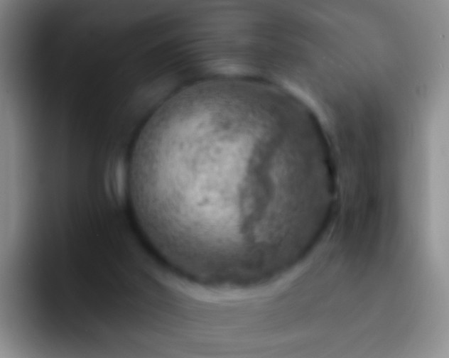 X0000092300014200709211239