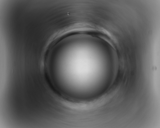 X0000092300015200709211239