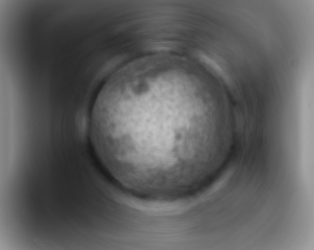 X0000092300016200709211239