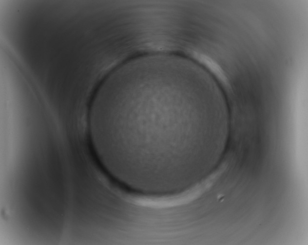 X0000092300017200709211239