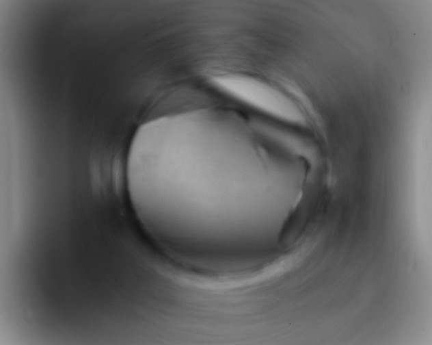 X0000092300019200709211239