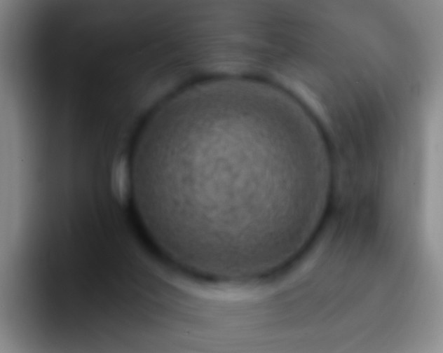 X0000092300020200709211239