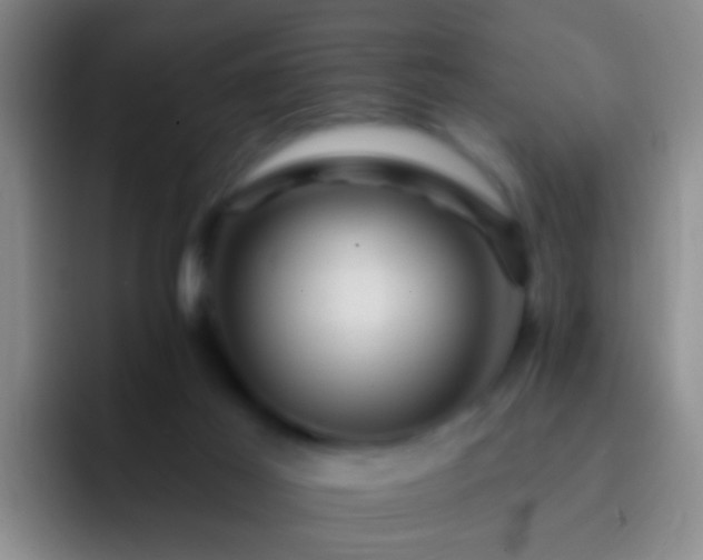X0000092300021200709211239
