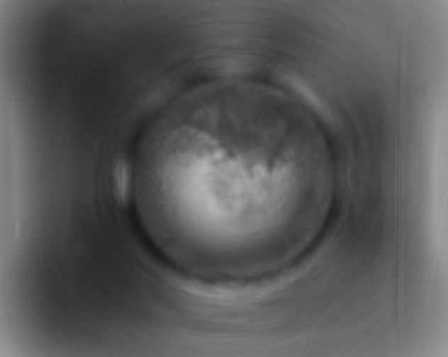 X0000092300022200709211239