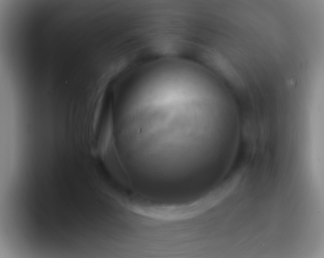 X0000092300023200709211239