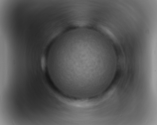 X0000092300024200709211239