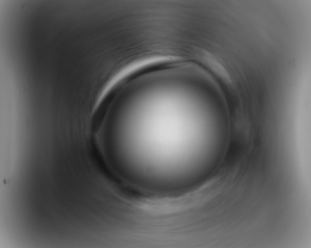 X0000092300025200709211239