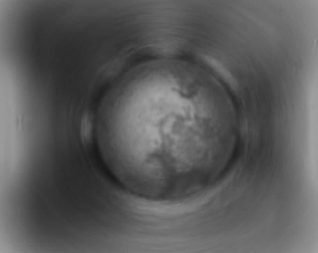 X0000092300026200709211239