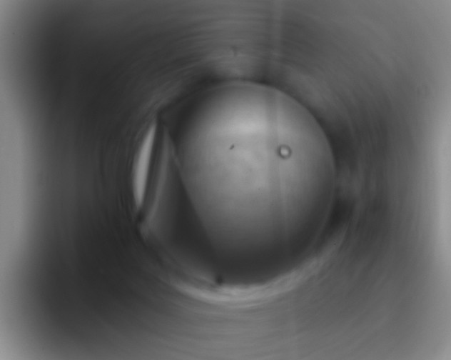 X0000092300027200709211239