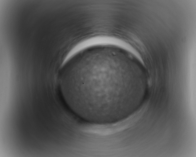 X0000092300029200709211239