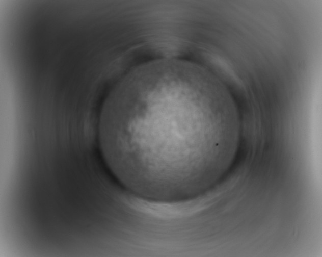 X0000092300030200709211239