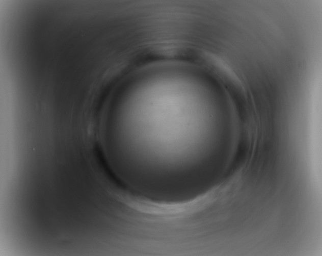 X0000092300031200709211239