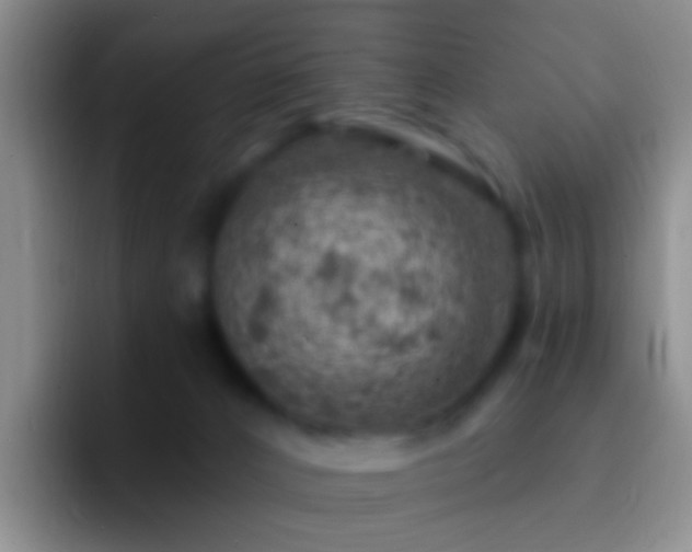 X0000092300032200709211239