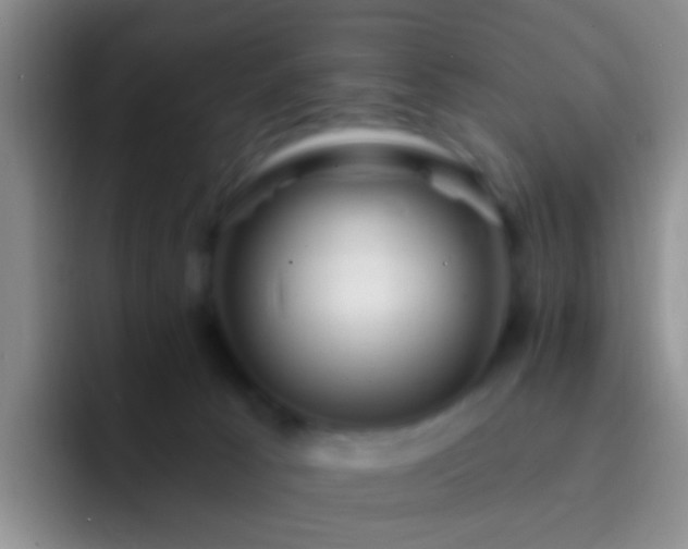 X0000092300033200709211239