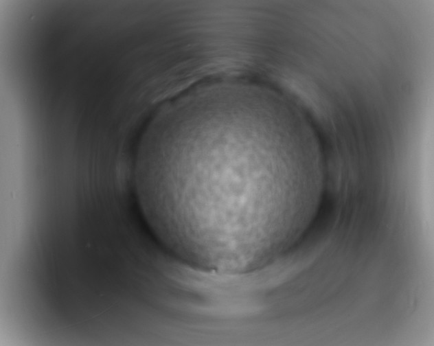 X0000092300034200709211239