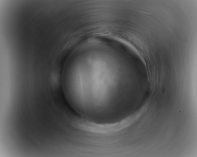 X0000092300035200709211239
