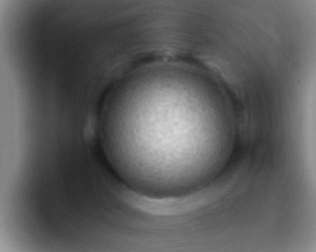 X0000092300038200709211239