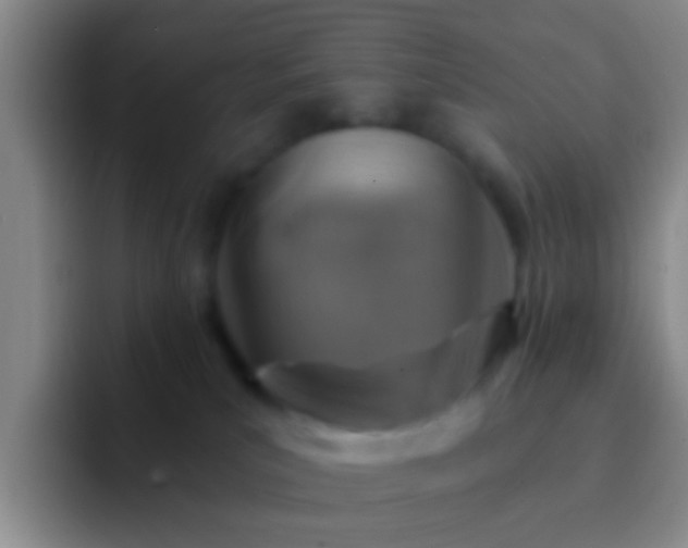 X0000092300039200709211239