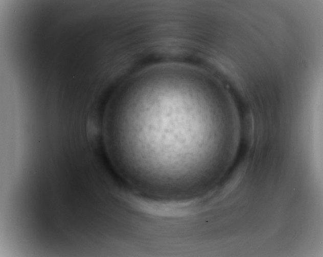 X0000092300040200709211239