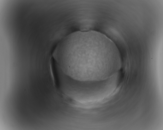 X0000092300041200709211239