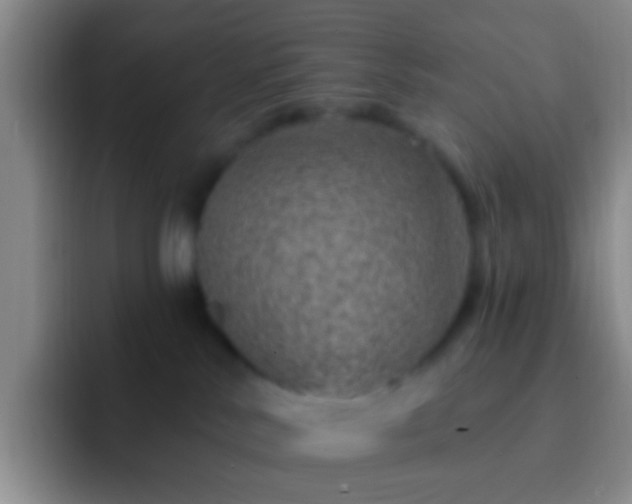 X0000092300042200709211239