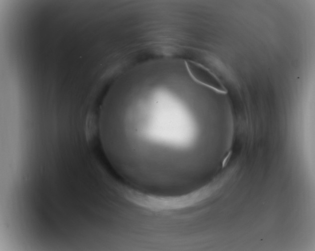 X0000092300043200709211239