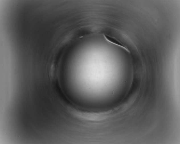 X0000092300044200709211239