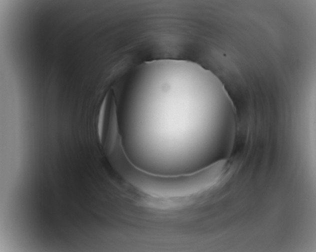 X0000092300045200709211239