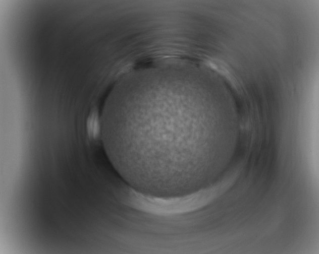 X0000092300046200709211239